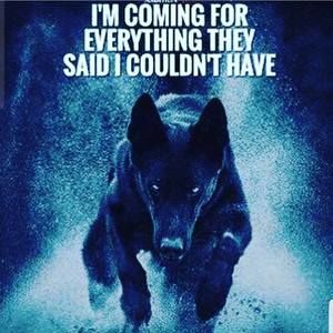 Meet your Posher, Deandre